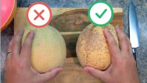How to Pick a Sweet and Juicy Cantaloupe Melon