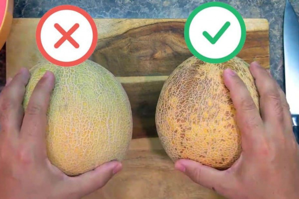 How to Pick a Sweet and Juicy Cantaloupe Melon