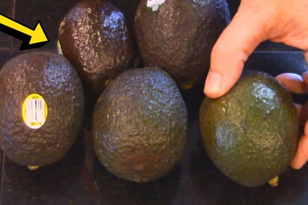 How to Tell If an Avocado Is Ripe and Good to Eat (1)