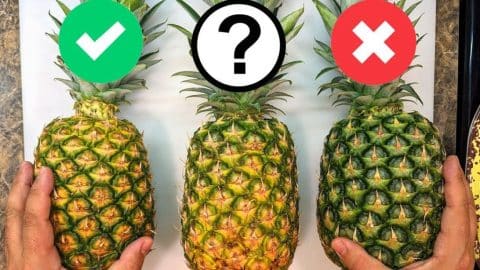 The Secret to Picking a Sweet, Juicy Pineapple | DIY Joy Projects and Crafts Ideas