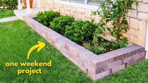 Ultimate DIY Garden Edging That Will Last Forever | DIY Joy Projects and Crafts Ideas
