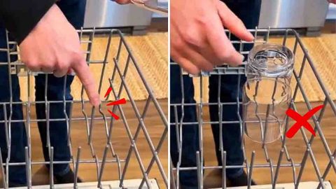 How To Load Your Dishwasher Like A Pro | DIY Joy Projects and Crafts Ideas