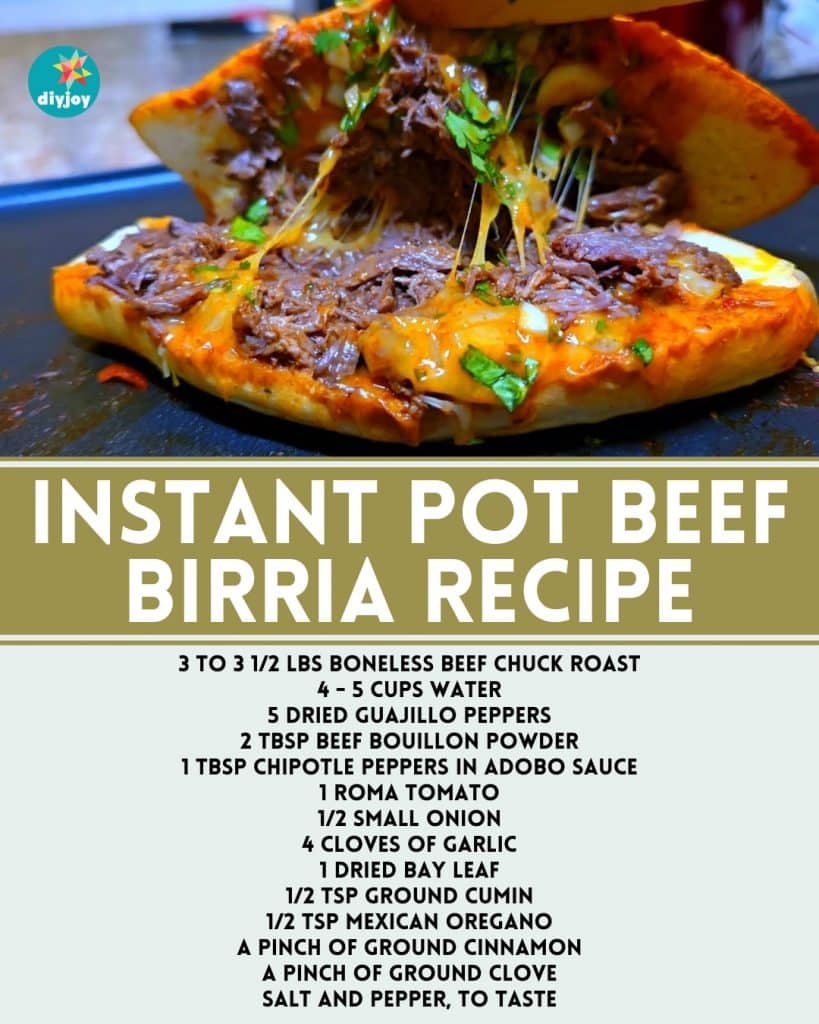 Instant Pot Beef Birria Recipe