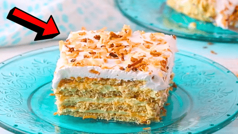 5-Ingredient Coconut Icebox Cake Recipe | DIY Joy Projects and Crafts Ideas
