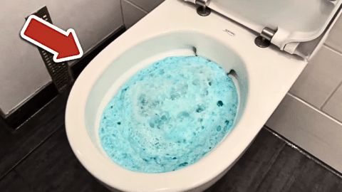 A Must-Try Toilet Cleaning Hack from Experts | DIY Joy Projects and Crafts Ideas