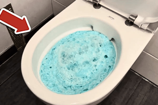 A Must-Try Toilet Cleaning Hack from Experts