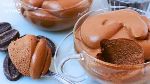 Best Chocolate Mousse Recipe | DIY Joy Projects and Crafts Ideas