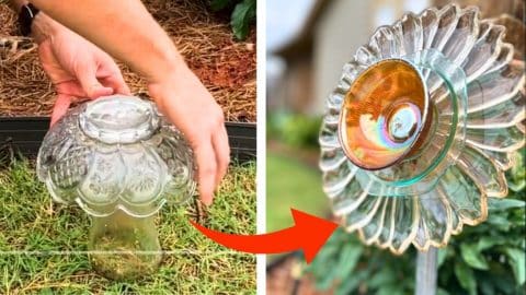 DIY Glass Garden Flowers and Mushrooms | DIY Joy Projects and Crafts Ideas