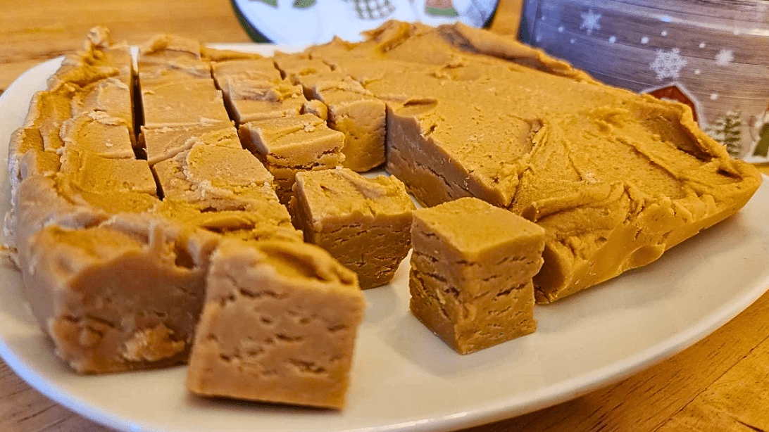 Easy 2-Ingredient Peanut Butter Fudge Recipe | DIY Joy Projects and Crafts Ideas