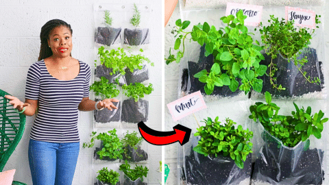 Easy DIY Indoor Herb Garden in a Shoe Organizer | DIY Joy Projects and Crafts Ideas