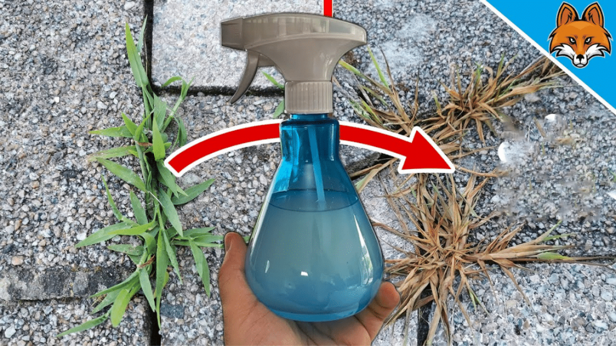 Easy Homemade Weed Killer Tutorial - DIY Joy