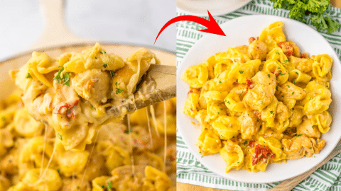 Easy Marry Me Chicken Tortellini Recipe | DIY Joy Projects and Crafts Ideas