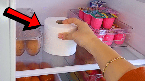 How to Deodorize Stinky Fridge Like a Pro | DIY Joy Projects and Crafts Ideas