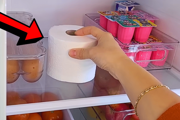 How to Deodorize Stinky Fridge Like a Pro