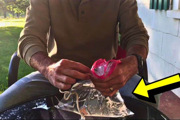 How to Keep Flies Out of Your Home All Year