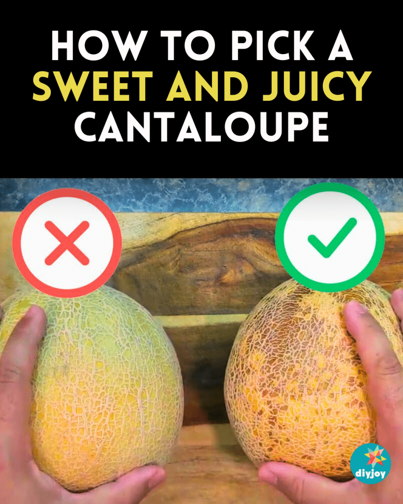 How to Pick a Sweet and Juicy Cantaloupe Melon