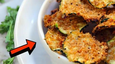 Oven Baked Zucchini Chips | DIY Joy Projects and Crafts Ideas