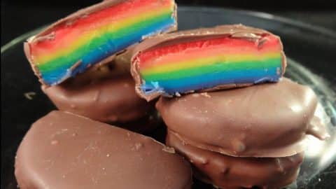 Rainbow Peppermint Patties Recipe | DIY Joy Projects and Crafts Ideas