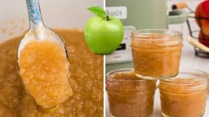 Slow Cooker Applesauce Recipe