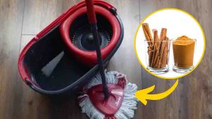 Cinnamon Floor Cleaning Solution