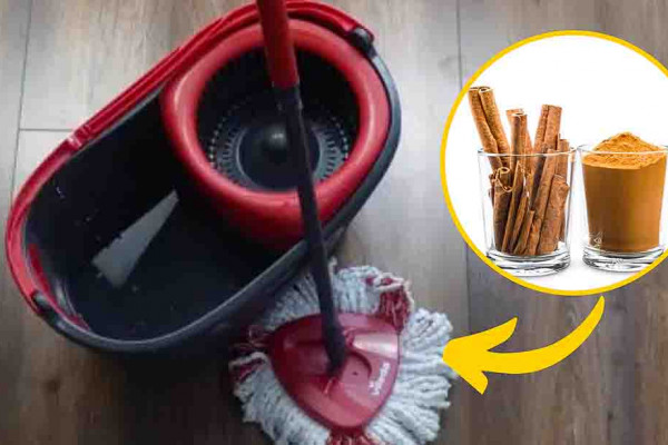 Cinnamon Floor Cleaning Solution