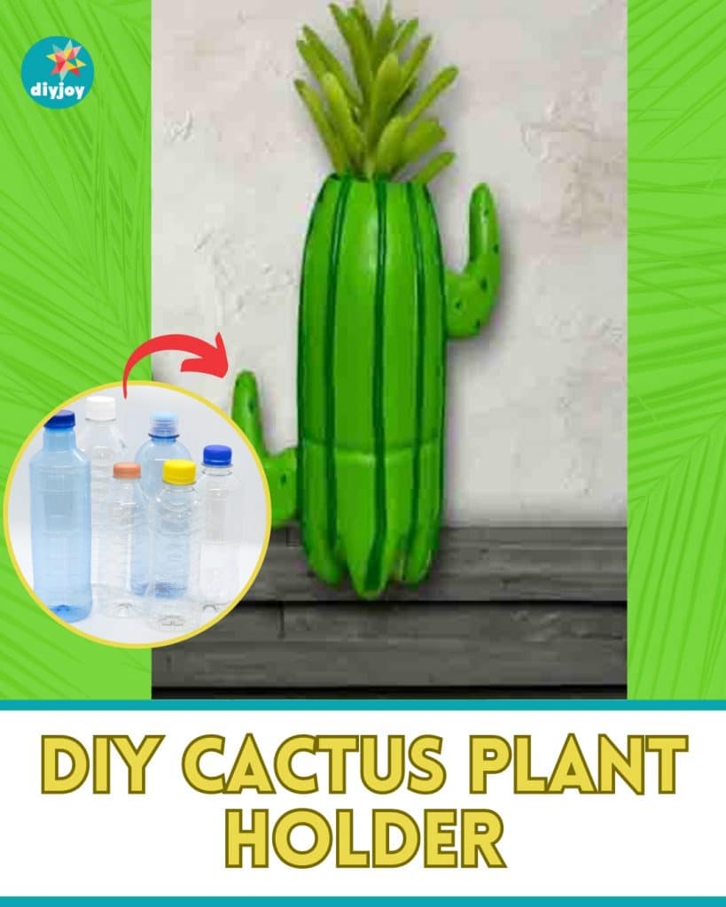 DIY Cactus Plant Holder Using An Old Plastic Bottle