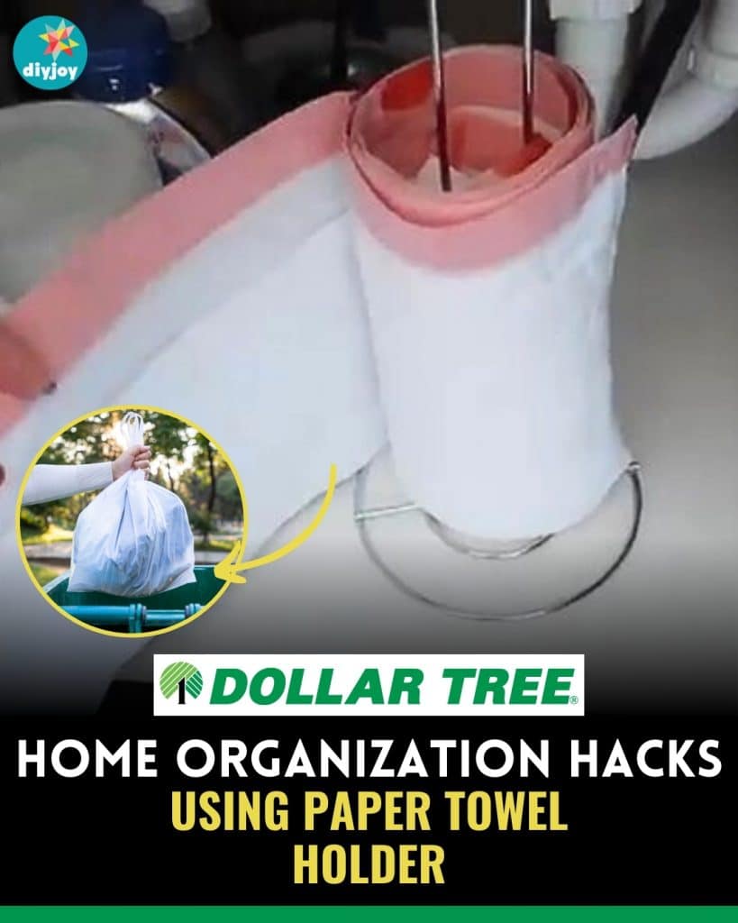 Home Organization Hacks Using Dollar Tree Paper Towel Holder