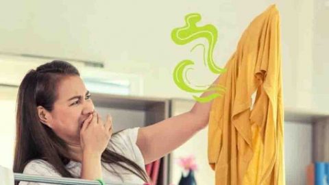 How to Remove the Smell of Sweat from Clothes | DIY Joy Projects and Crafts Ideas