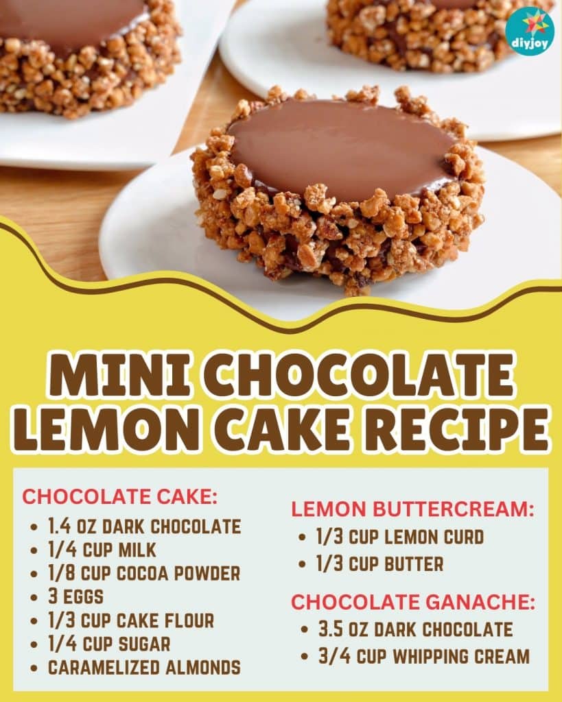 Mini Chocolate Lemon Cake Recipe