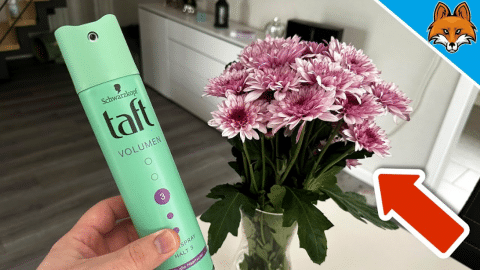 3 Ways to Prevent Flowers from Wilting Quickly | DIY Joy Projects and Crafts Ideas