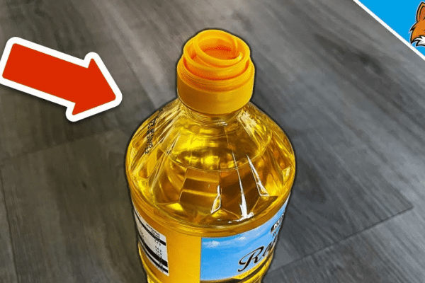 4 Things You Should Never Throw in the Trash