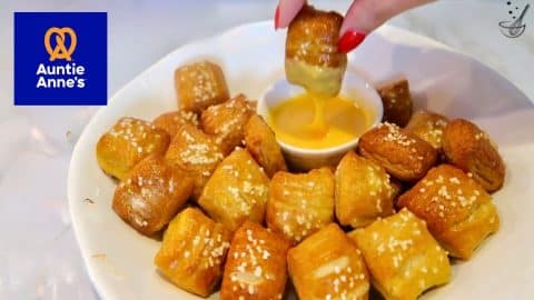 Auntie Anne’s Soft Pretzel Bites Copycat Recipe | DIY Joy Projects and Crafts Ideas