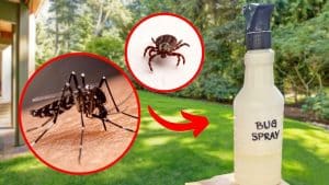 DIY Natural Mosquito and Tick Repellent Spray