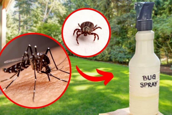 DIY Natural Mosquito and Tick Repellent