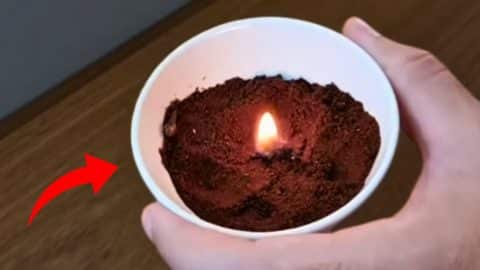 How to Burn Coffee Grounds to Get Rid of Mosquitoes | DIY Joy Projects and Crafts Ideas