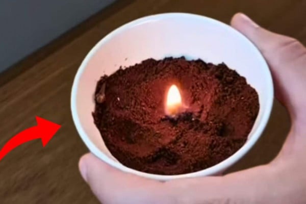 How to Burn Coffee Grounds to Get Rid of Mosquitoes