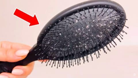 How to Clean a Hair Brush the Right Way | DIY Joy Projects and Crafts Ideas
