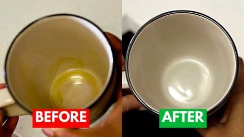 How to Remove Coffee Stains From a Mug | DIY Joy Projects and Crafts Ideas