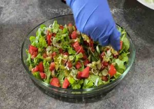 Big Mac Salad with Secret Sauce - DIY Joy