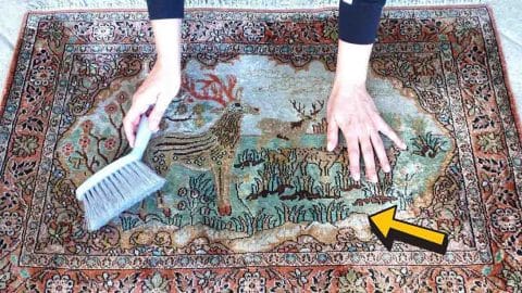 How To Clean Your Carpet in 15 Minutes | DIY Joy Projects and Crafts Ideas