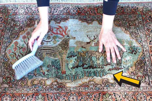 How To Clean Your Carpet in 15 Minutes