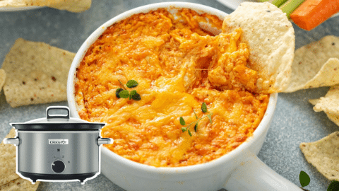 Easy Crockpot Buffalo Chicken Dip Recipe | DIY Joy Projects and Crafts Ideas