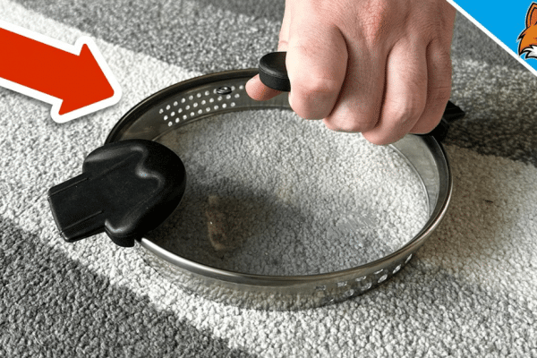 How to Clean Your Carpet with a Pot Lid