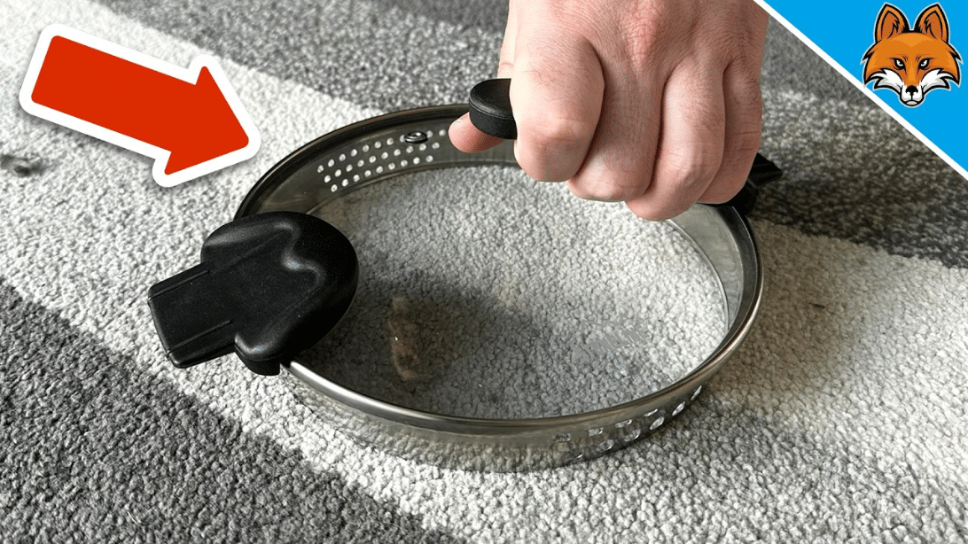 How to Clean Your Carpet with a Pot Lid | DIY Joy Projects and Crafts Ideas