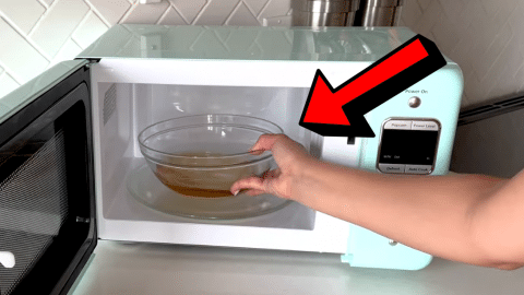 How to Get Rid of Burnt Smell From Your Microwave | DIY Joy Projects and Crafts Ideas