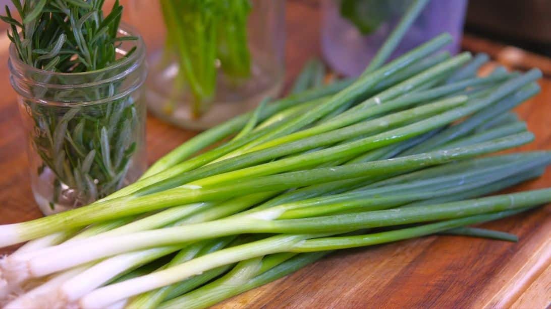 How to Keep Scallions Fresh For a Month in the Fridge | DIY Joy Projects and Crafts Ideas