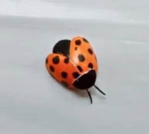 ladybugs made out of plastic spoons