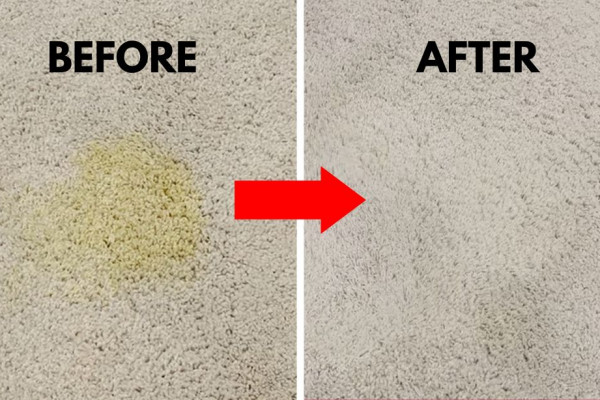 How to Remove Set-In Urine Stains From Carpet