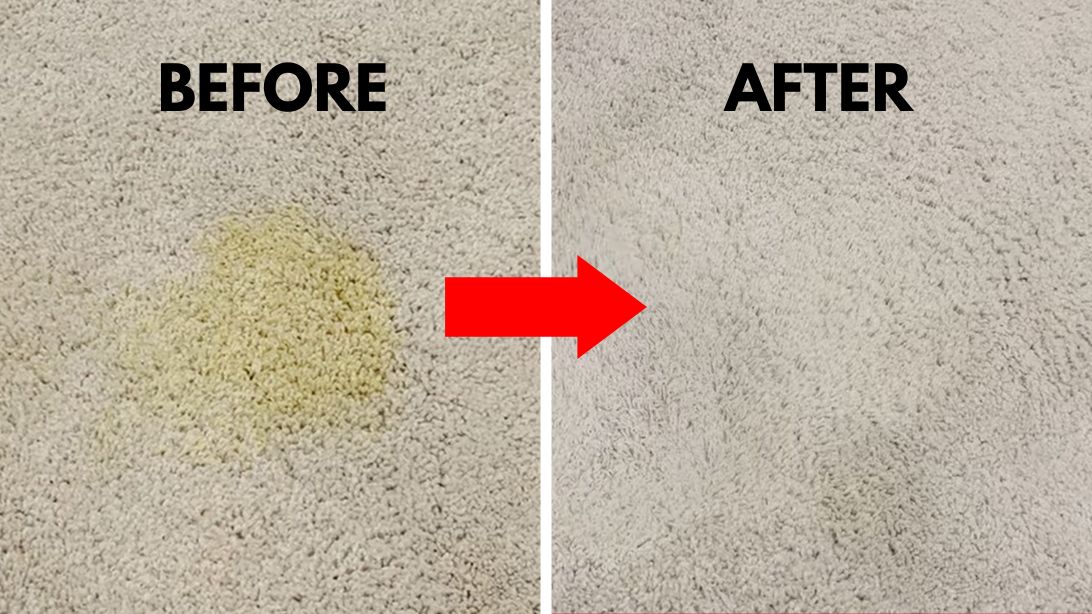 How to Remove Set-In Urine Stains From Carpet | DIY Joy Projects and Crafts Ideas