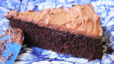 One Bowl Chocolate Cake Recipe - DIY Joy